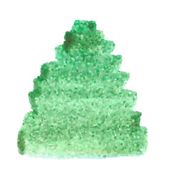 Green digital watercolor tree. Summer flora branch. Beautiful plant illustration. Sketch texture hand drawing art. Fir woods aquarelle card. Design pine elements. Isolated background