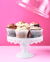 Cupcakes in plate