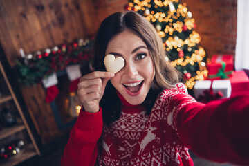 Photo of attractive positive lady take selfie hand hold heart shape cookie cover eye enjoy christmastime house indoors