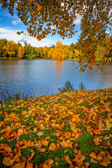 The lake at Stourhead in full autumn colours of yellow, gold, orange and red at Stourton, Wiltshire, UK on 28 October 2022
