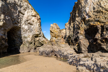 Caves and rock formations at Perranporth beach in Cornwall, with mussels on the rocks