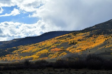 Fish Lake National Forest near Johnson Reservoir
