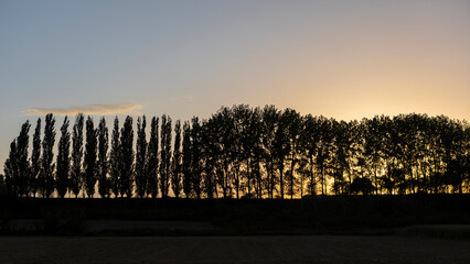 Obraz premium atardecer