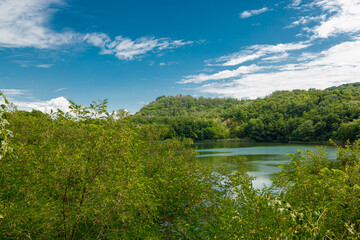 Obraz na płótnie Canvas beautiful lake in the summer among the forest against the blue sky