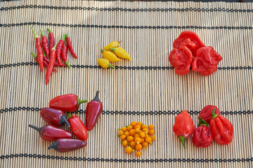 Small piles of diferent kinds of fresh hot chilli peppers on the asian style bamboo mat to sun dried and used as a spicy seasoning in the home kitchen for cooking of asian or mexican style dishes.