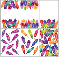 Feathers of birds, vector illustration collection of colorful writer card background