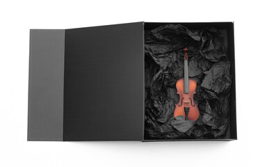 violin in black box isolated on white background