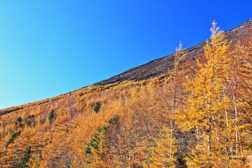 Obraz premium t the beginning of fall