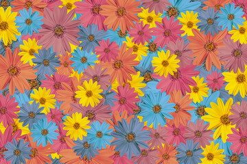 Naklejka na ściany i meble multicolored flowers,flowery background,texture full frame