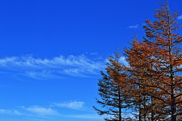 cloudy, and later sunny