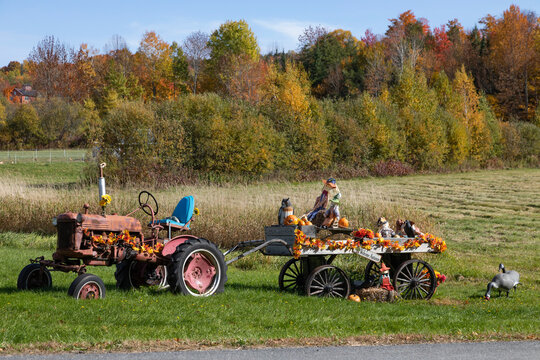 Tractor and wagon with autumn decorations, Elmore, Vermont