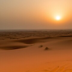 Fototapeta na wymiar Desert sand dunes with hazy sunny sky