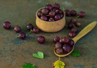 Gooseberries in a bowl on an old surface. leaves and berries of red and green gooseberries. Collect gooseberries. country style.
