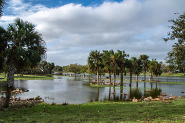 Hurricane Ian destruction in Venice, Florida-Sept. 29, 2022. Maxine Barrit Park, Pier parking lot, trees uprooted and flooding-wind damage, cleanup debris