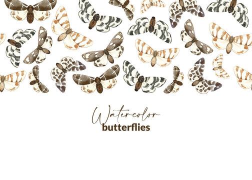 Template with illustrated brown butterflies. Hand drawn watercolor moth. Decor for packaging, label, stationery and greeting card. Flying insects.