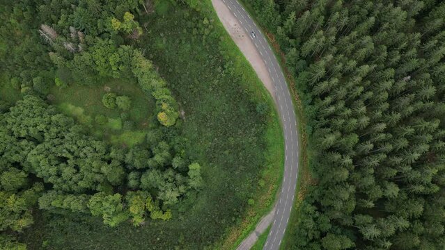 Virage d'une route au milieu de la for&ecirc;t pour r&eacute;seaux sociaux, site web, et publicit&eacute;