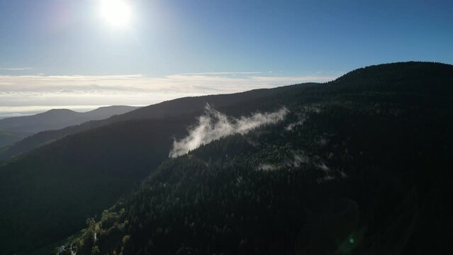 Vid&eacute;o a&eacute;rienne d'un nuage de brume sur une montagne bois&eacute;e &agrave; contre-jour