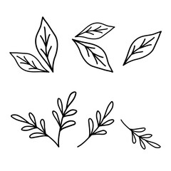 Different leaves and sprigs, ecology or natural element, doodle style vector outline, coloring book