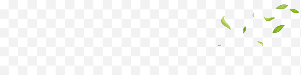 Green Leaves Ecology Vector White Panoramic