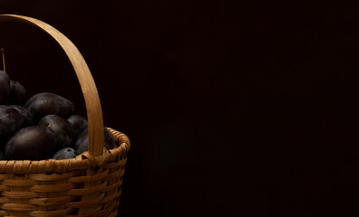Banner with a basket of plums on a dark black background. Food photo of delicious fresh ripe berries in low key. The concept of harvesting and farming support. Berries for making compote and jam.