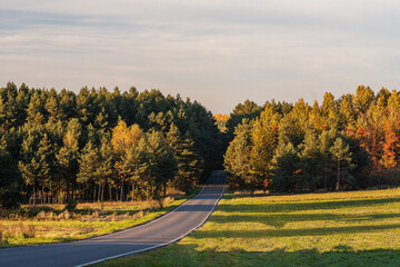 Droga w jesiennym lesie  © Marcin