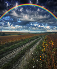 Scenic View Of Rainbow Over Road Against Sky. nature of Ukraine