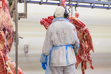 Special equipment for splitting carcass of bull.
