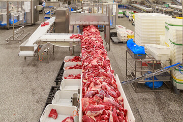 Topview of conveyor machine with primal cuts of angus beef.