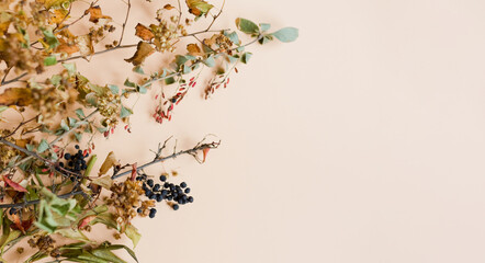 Banner with autumn leaves and berries
