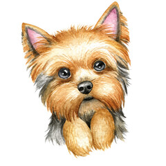 Cute dog, cute puppy , dog portrait, illustration