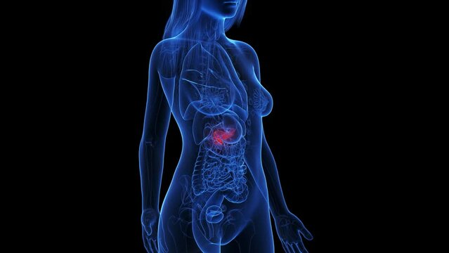 3d rendered medical animation of an inflamed pancreas