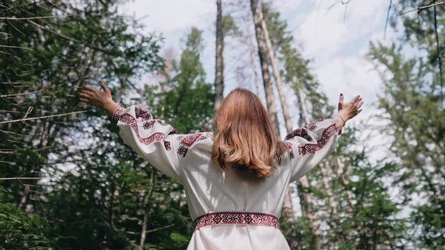 Back view of ukrainian woman stands with open arms in fir forest, Carpathian mountains nature. Girl in traditional embroidery vyshyvanka dress. Ukraine, freedom, ethnic national costume