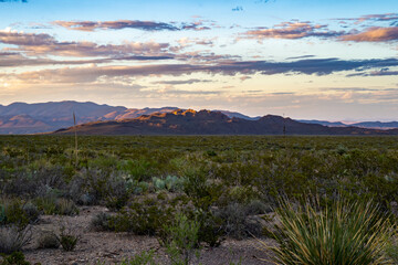 Obraz premium Desert Sunset, Big Bend National Park, Texas