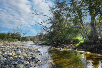 San Juan Creek in Caspers Wilderness Park in southern California