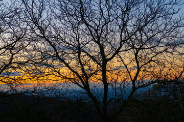 Fototapeta na wymiar Sonnenuntergang mit Bäumen im Winter in Ebersteinburg