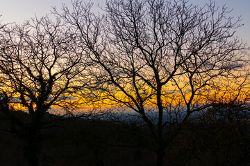 Fototapeta na wymiar Sonnenuntergang mit Bäumen im Winter in Ebersteinburg
