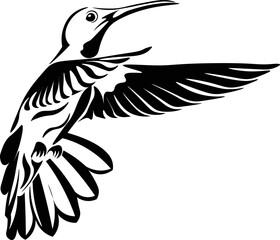 Obraz premium Black and White Cartoon Illustration Vector of a Hummingbird in Flight