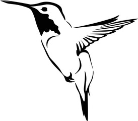 Black and White Cartoon Illustration Vector of a Hummingbird in Flight