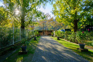 秋のローザンベリー多和田　イングリッシュガーデン