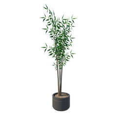 Front view of Plant (Potted Vase with Indoor Plant 6) Tree png