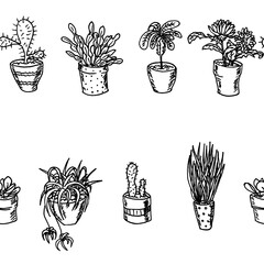 Flowers, cactus and plants in flowerpots, seamless pattern - hand drawn isolated on white background