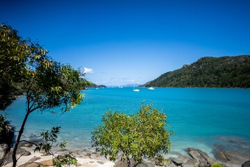 Fototapeta premium travelling in the tropics on a vacation in queensland australia
