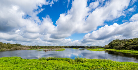 Blue sky with white clouds over Myakka River State Park in Sarasota Florida USA