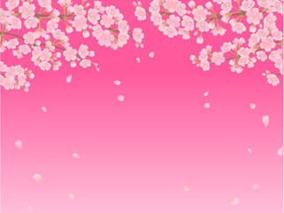 満開の桜と濃いピンクのフレーム背景_ベクターイラスト