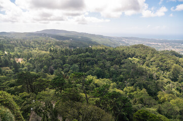 Fototapeta na wymiar Landscape of green forest from Portugal