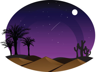 night in the desert