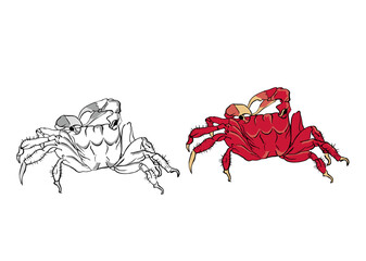 浮世絵　カニ　その2