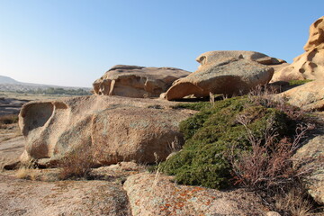 In the Bektau-Ata tract, large volcanic stones with lichens and bushes, sunny