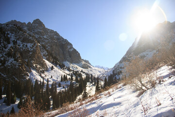 Snow-covered alpine Tuyuk-su gorge with rocky mountains, fir trees and distant view in sunlight, sun, winter