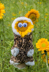 leopard jacket sunflower